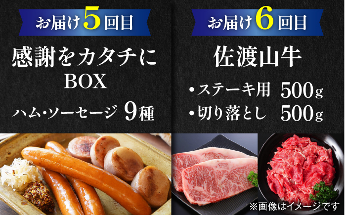 【全6回定期便】家族で満喫！沖縄のお肉贅沢セット【沖縄市】ハンバーグ あぐー 石垣牛 ステーキ 焼肉 冷凍 ギフト お取り寄せ 沖縄市 / お肉屋本店 / 豚々茶舗 / TESIO / 肉のサブロー [BCZZ034]