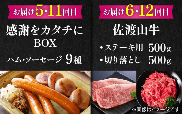 【全12回定期便】家族で満喫！沖縄のお肉贅沢セット【沖縄市】ハンバーグ あぐー 石垣牛 ステーキ 焼肉 冷凍 ギフト お取り寄せ 沖縄市 / お肉屋本店 / 豚々茶舗 / TESIO / 肉のサブロー [BCZZ035]