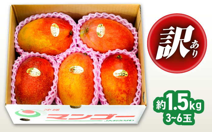 【先行予約 2026年発送 予約受付】訳あり 完熟マンゴー 約1.5kg (3～6玉入) マンゴー 沖縄 果物 フルーツ ギフト 沖縄市 / ちゃんぷる～市場 [BCAA001]