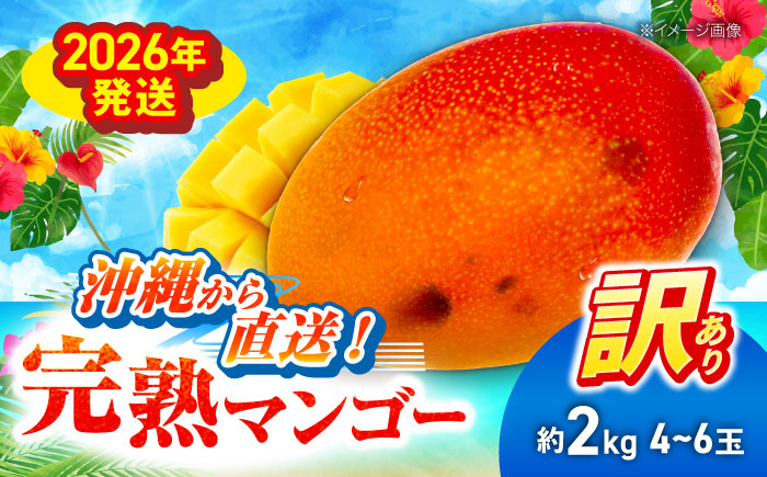 【先行予約 2026年発送 予約受付】 訳あり 完熟マンゴー 約2kg (4～6玉入) マンゴー 沖縄 果物 フルーツ ギフト 沖縄市 / ちゃんぷる～市場 [BCAA002]