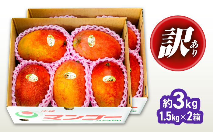 【先行予約 2026年発送 予約受付】 訳あり 完熟マンゴー 約3kg (約1.5kg (3～6玉) ×2箱) マンゴー 沖縄 果物 フルーツ ギフト 沖縄市 / ちゃんぷる～市場 [BCAA003]