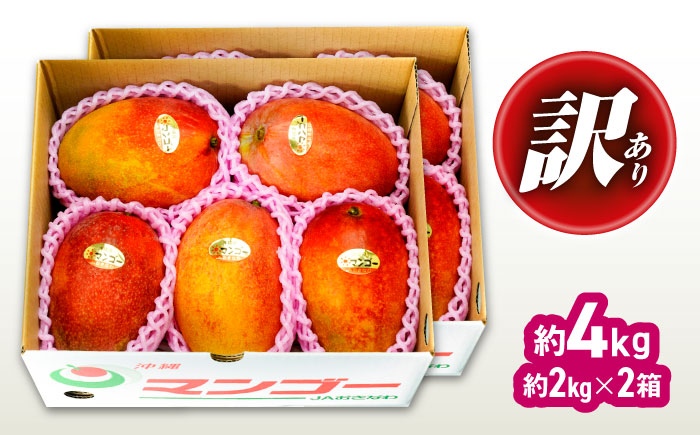 【先行予約 2026年発送 予約受付】 訳あり 完熟マンゴー 約4kg (約2kg×2箱) マンゴー 沖縄 果物 フルーツ ギフト 沖縄市 / ちゃんぷる～市場 [BCAA007]