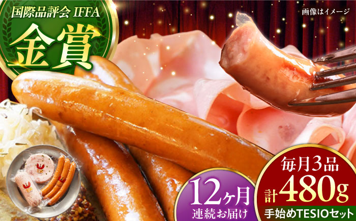 【全12回定期便】TESIOの自家製ハム＆ソーセージ 『手始めTESIOセット』 豚肉 ハム ソーセージ 小分け 真空パック 沖縄市 / TESIO [BCAD009]