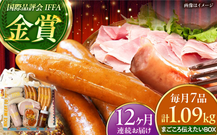 【全12回定期便】TESIOの自家製ハム＆ソーセージ 『まごころ伝えたいBOX』 豚肉 ハム ソーセージ 小分け 真空パック 沖縄市 / TESIO [BCAD015]