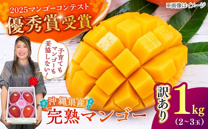 【優秀賞受賞】沖縄県産 完熟マンゴー 訳アリ 1kg (2～3玉) マンゴー 沖縄 果物 フルーツ ギフト 沖縄市 / MAIFARM [BCAN003]