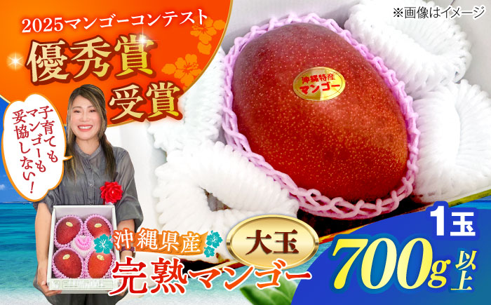【最優秀賞受賞】沖縄県産 完熟マンゴー 大玉 1個入り マンゴー 沖縄 果物 フルーツ ギフト 沖縄市 / MAIFARM [BCAN005]