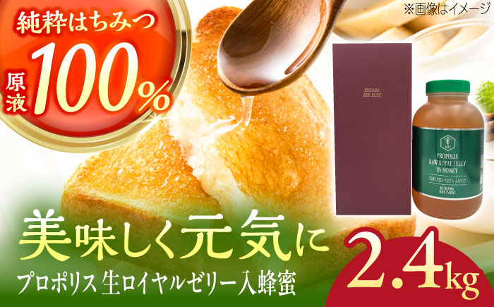 【お歳暮対象】コハマのハチミツ プロポリス 生ローヤルゼリー入蜂蜜 2.4kg×1本 蜂蜜 はちみつ ハチミツ 国産 ギフト 年内発送 沖縄市 / 農業生産法人株式会社小浜養蜂場 [BCAQ008] お歳暮(12月下旬までにお届け)