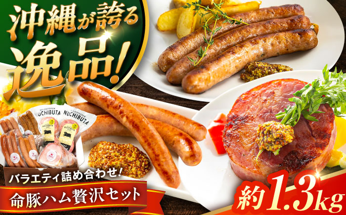 『ハム贅沢セット』 豚肉 ポークステーキ ソーセージ ハム 詰め合わせ お取り寄せ 国産 ギフト 冷凍 沖縄市 / DELICATESSEN NUCHIBUTA [BCAR007]