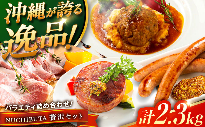『NUCHIBUTA 贅沢セット』 豚肉 ハンバーグ ソーセージ ハム 詰め合わせ お取り寄せ 国産 ギフト 冷凍 沖縄市 / DELICATESSEN NUCHIBUTA [BCAR008]