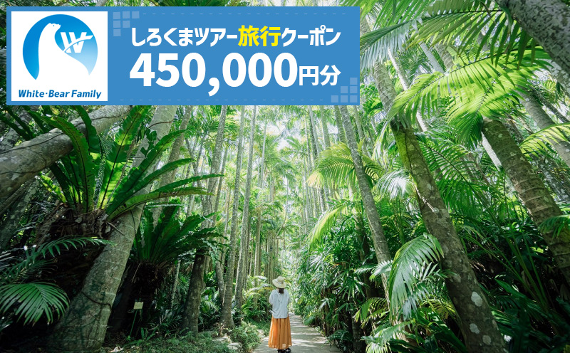 【沖縄市】しろくまツアーで利用可能なWEB旅行クーポン (45万円分) 沖縄旅行 観光 ツアー トラベルクーポン 電子クーポン 450000円 沖縄市 / 株式会社ホワイト・ベアーファミリー [BCAV009]