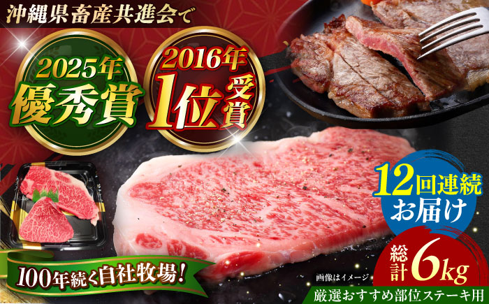 【全12回定期便】【厳選！おすすめ部位】沖縄和牛 佐渡山牛 ステーキ肉 500g ステーキ 牛肉 和牛 焼肉 赤身 沖縄市 / 肉のサブロー [BCBC007]