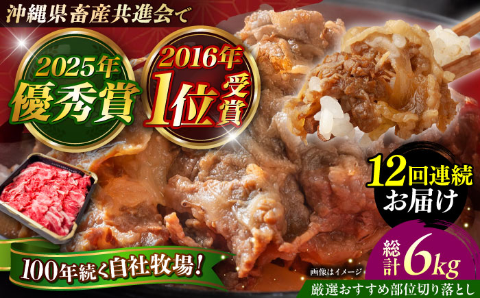 【全12回定期便】【厳選！おすすめ部位】沖縄和牛 佐渡山牛 切り落とし 500g 牛肉 焼肉 焼き肉 和牛 赤身 沖縄市 / 肉のサブロー [BCBC010]