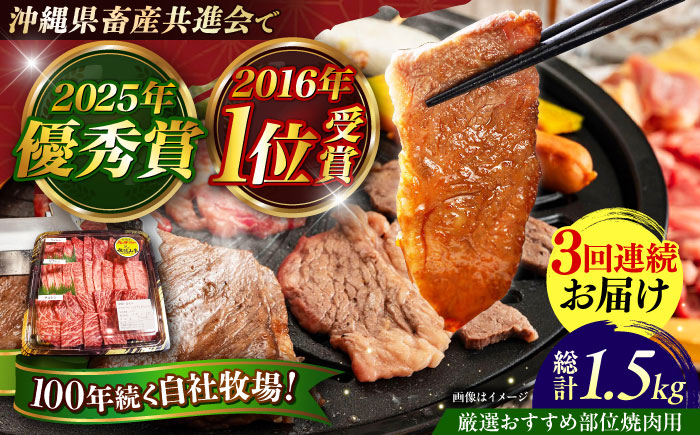【全3回定期便】【厳選！おすすめ部位】沖縄和牛 佐渡山牛 焼肉用 500g 牛肉 焼肉 焼き肉 和牛 赤身 沖縄市 / 肉のサブロー [BCBC011]