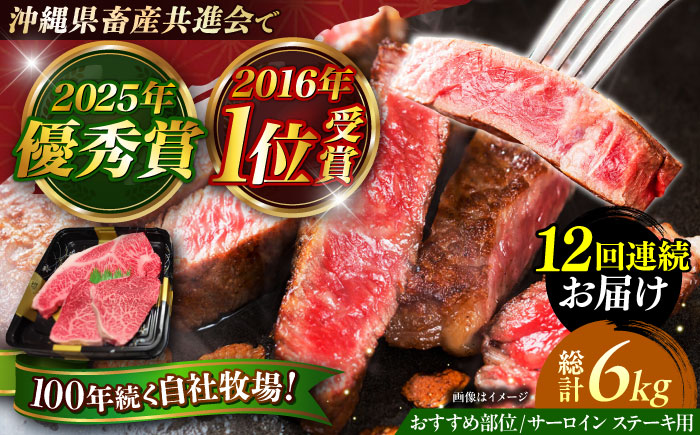 【全12回定期便】【数量限定】沖縄和牛 佐渡山牛 サーロイン＆希少部位 ステーキ肉 500g 牛肉 和牛 サーロインステーキ 焼肉 赤身 沖縄市 / 肉のサブロー [BCBC016]