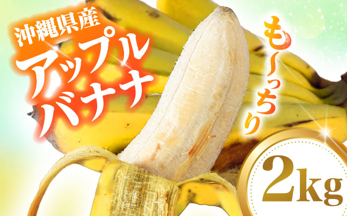 ムッチリ食感！沖縄県産アップルバナナ 2kg バナナ フルーツ 果物 無農薬 banana 沖縄市 / タカエス フルーツ＆ベジタブル [BCBH001]