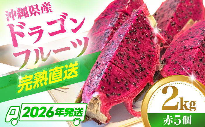 【2026年発送 先行受付】 完熟ドラゴンフルーツ 2kg (5玉) 果物 フルーツ スーパーフード 産地直送 沖縄市 / タカエスフルーツ＆ベジタブル [BCBH004]