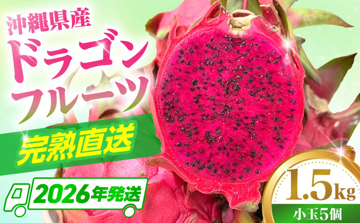【2026年発送 先行受付】 【小玉】 完熟ドラゴンフルーツ 1.5kg (5玉) 果物 フルーツ スーパーフード 産地直送 沖縄市 / タカエスフルーツ＆ベジタブル [BCBH005]