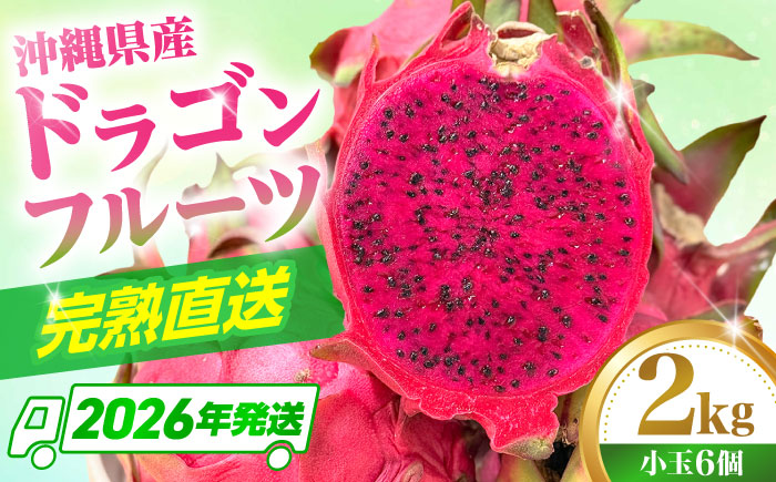 【2026年発送 先行受付】 【小玉】 完熟ドラゴンフルーツ 2kg (6玉) 果物 フルーツ スーパーフード 産地直送 沖縄市 / タカエスフルーツ＆ベジタブル [BCBH006]