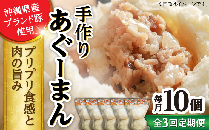 【全3回定期便】あぐーまん 10個入り (2個入り×5P) 肉まん 豚まん 点心 お取り寄せ 冷凍 沖縄市 / 豚々茶舗 [BCBL011]