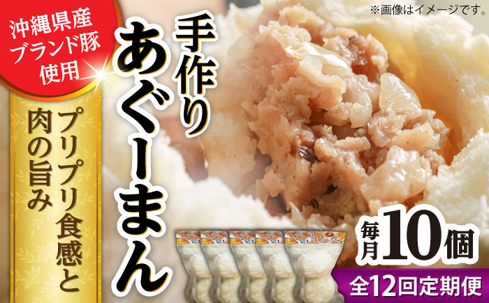 【全12回定期便】あぐーまん 10個入り (2個入り×5P) 肉まん 豚まん 点心 お取り寄せ 冷凍 沖縄市 / 豚々茶舗 [BCBL031]