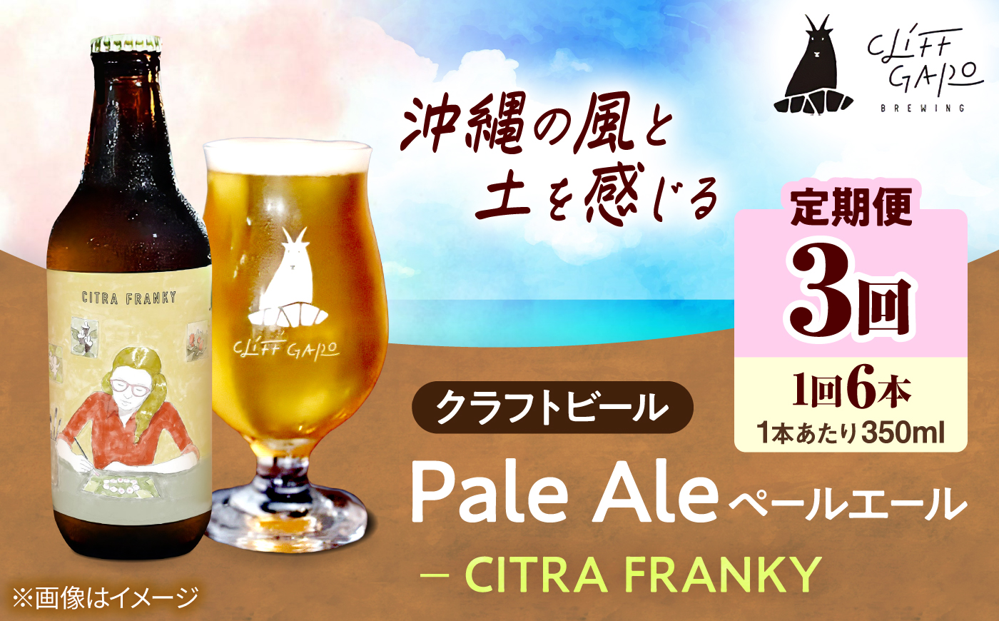 【全3回定期便】-CLIFF BEER- CITRA FRANKY  (ペールエール) 6本入り ビール クラフトビール 350ml 飲み比べ ギフト 沖縄市 / 株式会社クリフクラフト [BCDS010]
