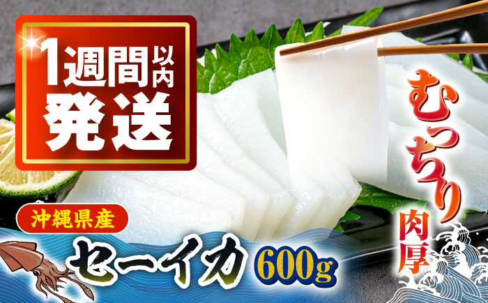 セーイカ (そでいか) 0.6kg (300g ×2パック) 沖縄市 / 沖縄市漁業協同組合 パヤオ直売店 [BCDZ002]