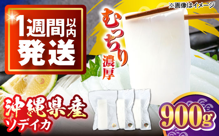 冷凍セーイカ (そでいか) 900g (300g ×3パック) 沖縄市 / 沖縄市漁業協同組合 パヤオ直売店 [BCDZ008]