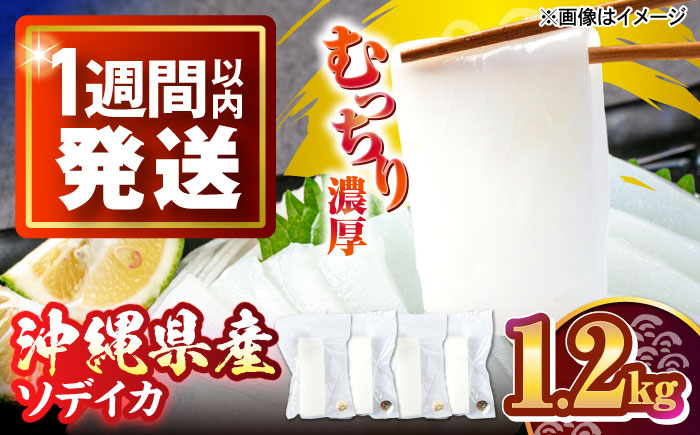 冷凍セーイカ (そでいか) 1.2kg (300g ×4パック) 沖縄市 / 沖縄市漁業協同組合 パヤオ直売店 [BCDZ009]
