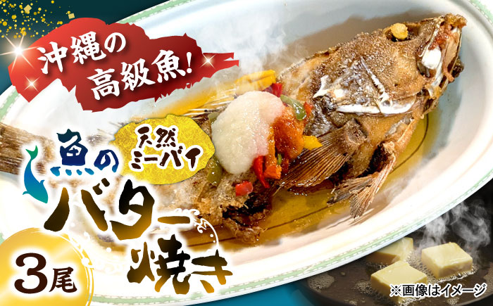 魚のバター焼き 沖縄三大高級魚 天然ミーバイ 3尾 沖縄料理 ミーバイ バター焼き お取り寄せ 冷凍 沖縄市 / 海産物料理 大漁 [BCED001] 冷凍 ストック