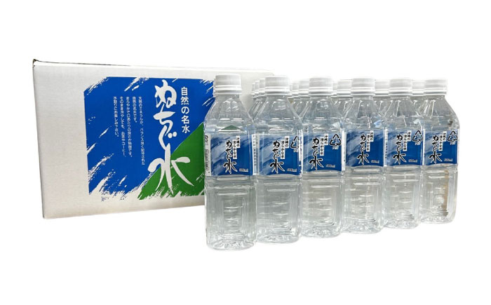 自然の名水 ぬちぐ水 500ml 24本 水 飲料水 ミネラルウォーター 防災 キャンプ 備蓄 / トゥワァイス [BCEJ001]