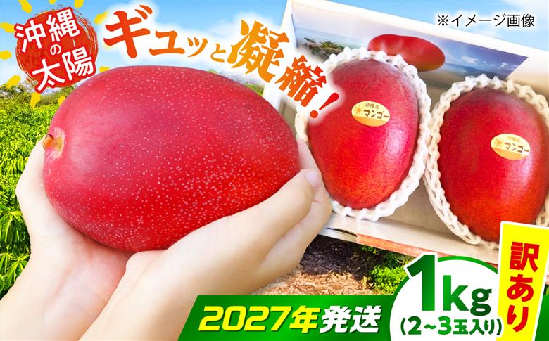 【2027年発送 先行予約】【訳あり】沖縄市産マンゴー「太陽のめぐみ」 1kg(2～3玉) 南国フルーツ 産地直送 新鮮 沖縄県産 ギフト 沖縄市 / 比嘉マンゴー園 [BCEW003]