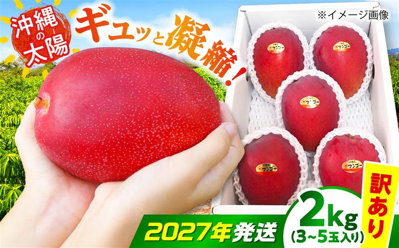 【2027年発送 先行予約】【訳あり】沖縄市産マンゴー「太陽のめぐみ」 2kg(3～5玉) 南国フルーツ 産地直送 新鮮 沖縄県産 ギフト 沖縄市 / 比嘉マンゴー園 [BCEW004]