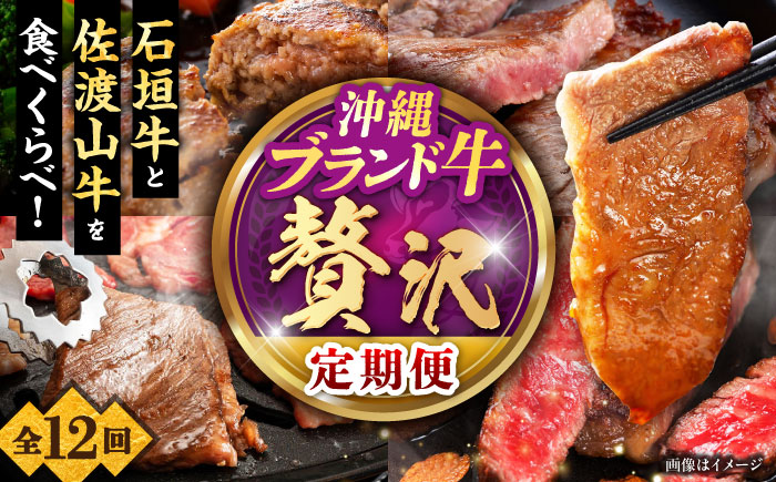 【全12回定期便】沖縄ブランド牛を堪能！贅沢お肉定期便【沖縄市】牛肉 和牛 サーロインステーキ 焼肉 赤身 沖縄市 / 肉のサブロー / お肉屋本店 [BCZZ029]