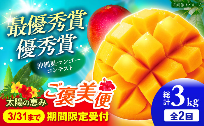 【全2回】太陽の恵み マンゴーご褒美便 (総計3kg) マンゴー 2026 沖縄 果物 フルーツ ギフト 沖縄市 / 仲村農園 [BCZZ052]