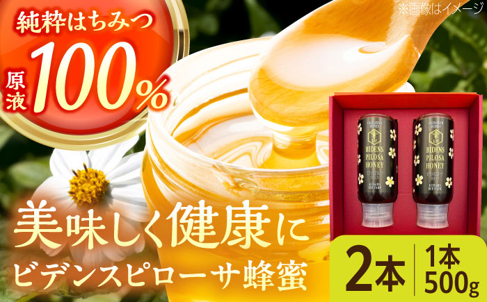 [お歳暮対象]コハマのハチミツ ビデンスピローサ蜂蜜 500g×2本 蜂蜜 はちみつ ハチミツ 国産 ギフト 年内発送 沖縄市 / 農業生産法人株式会社小浜養蜂場 [BCAQ003]