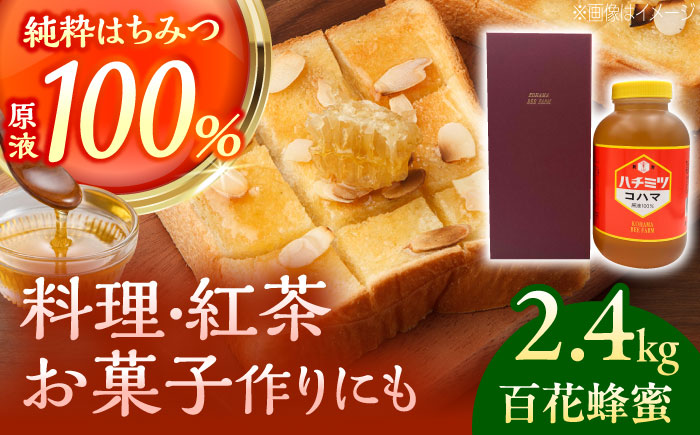 [お歳暮対象]コハマのハチミツ 百花蜂蜜 2.4kg×1本 蜂蜜 はちみつ ハチミツ 国産 ギフト 年内発送 沖縄市 / 農業生産法人株式会社小浜養蜂場 [BCAQ006]