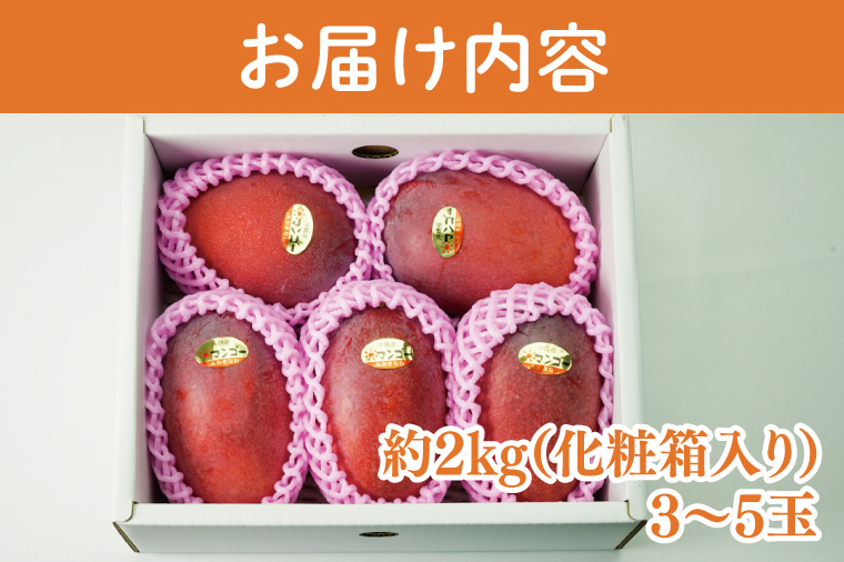 【2026年6月より順次発送】【訳あり】菜々色畑のアーウィンマンゴー 3～5玉(約2kg)【白箱】 ご家庭用｜マンゴー アーウィンマンゴー アーウィン フルーツ 果物 くだもの おきなわマンゴー おきなわ 沖縄県 豊見城市 家庭用(AE011)