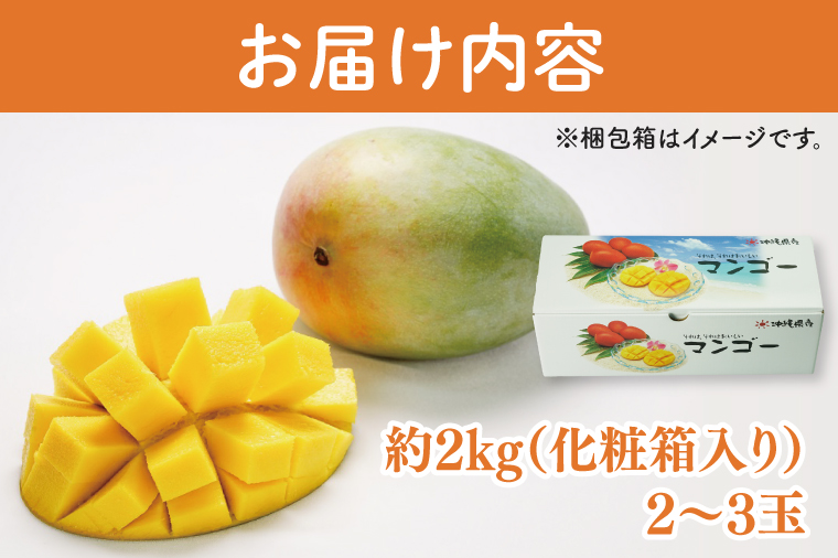 【2026年8月より順次発送】菜々色畑のキーツマンゴー 2～3玉(約2kg)【化粧箱】｜沖縄県 豊見城市 マンゴー キーツマンゴー フルーツ 果物 くだもの おきなわマンゴー 先行予約 ギフト 贈り物 化粧箱入り 先行予約(AE015)