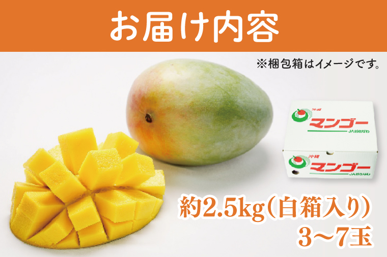【2026年8月より順次発送】【訳あり】菜々色畑のキーツマンゴー 3～7玉(約2.5kg)【白箱】ご家庭用｜訳あり わけあり 訳アリ キーツマンゴー マンゴー キーツ フルーツ 果物 くだもの おきなわマンゴー 家庭用 沖縄県 豊見城市(AE017)