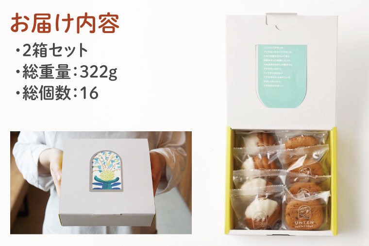 BN001-1　【ペストリーうんてん】おきなわケーキのセット 8個入り×2