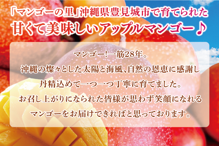 【2026年6月下旬より順次発送】マンゴーの里！豊見城市産♪あま〜い♪アップルマンゴー 約2kg(3～6玉)(家庭用)｜マンゴー アップルマンゴー フルーツ 果物 くだもの 先行予約 沖縄 おきなわ 沖縄県 豊見城市 先行予約(BV007-1)