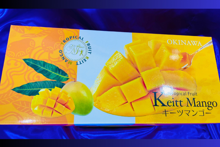 【2026年8月より順次発送】稀少プレミアム！！豊見城市産キーツマンゴー 約1.5kg(2〜3玉)｜マンゴー キーツマンゴー フルーツ 果物 くだもの 先行予約 沖縄 おきなわ 沖縄県 豊見城市(BV001-1)