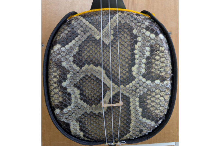 「三線工房ダイキ」チュン材黒　ツヤなし蛇皮二重張り三線セット｜三線 沖縄 楽器 音楽 日本 セット 三線工房 沖縄三線 おきなわ 送料無料 豊見城市(CU003)