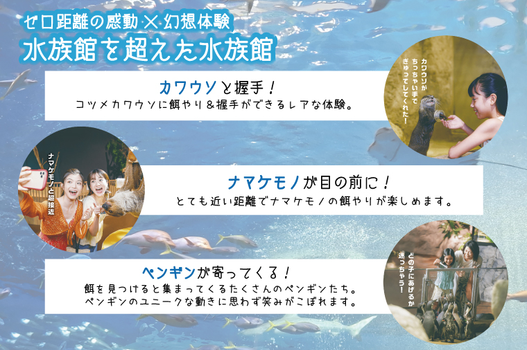 「DMMかりゆし水族館」入場券 中人1名(13～17歳)｜水族館 入場券 チケット 旅行 観光 沖縄旅行 沖縄 おきなわ 豊見城市(DG002)