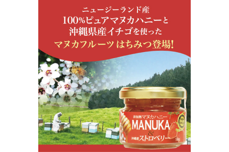 マヌカハニー＆沖縄県産ストロベリー 50g×2個｜はちみつ ハチミツ 蜂蜜 マヌカハニー いちご イチゴ 苺 ストロベリー ビタミン お土産 ギフト プレゼント お祝い 人気 沖縄 沖縄県 豊見城市(DK007)