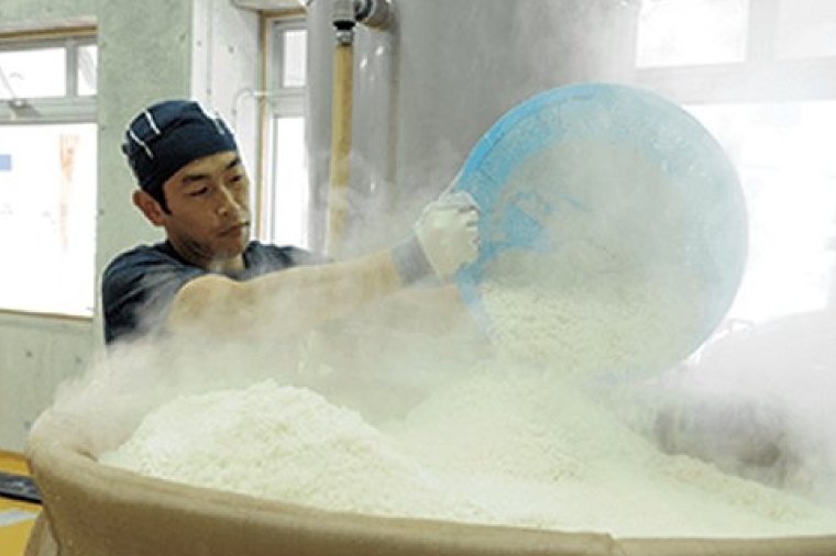 琉球泡盛「忠孝酒造」古酒・新酒の飲み比べ 1升瓶6本セット(BY010-1)