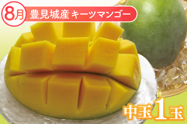 【2026年8月より順次発送】【3ヶ月定期便】沖縄フルーツ定期便(8・9・10月コース)｜フルーツ くだもの 果物 マンゴー キーツマンゴー ドラゴンフルーツ バナナ 名護パイン園 定期便 フルーツ定期便 沖縄フルーツ 先行予約 おきなわ 沖縄県 豊見城市(AC017)