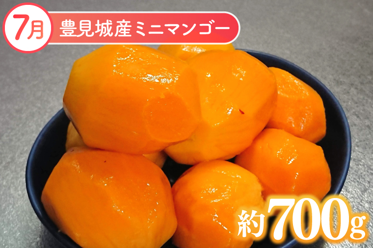 【2026年7月より順次発送】【3ヶ月定期便】沖縄フルーツ定期便(7・8・9月コース)｜フルーツ くだもの 果物 マンゴー キーツマンゴー ドラゴンフルーツ 名護パイン園 定期便 フルーツ定期便 先行予約 沖縄県 豊見城市(AC021)