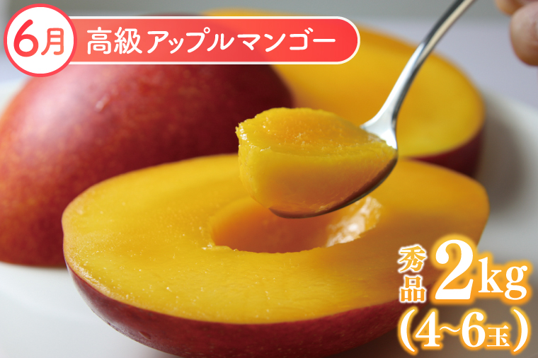 【2026年6月より順次発送】【3ヶ月定期便】豊見城 極上フルーツ定期便(6・7・8月コース)｜フルーツ くだもの 果物 マンゴー アップルマンゴー キーツマンゴー 名護パイン園 定期便 フルーツ定期便 先行予約 沖縄県 豊見城市(AC022)