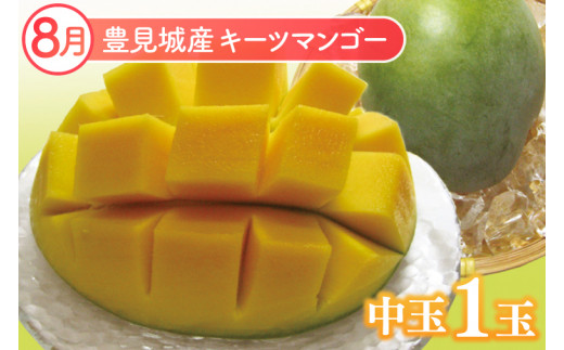 【2026年8月より順次発送】【3ヶ月定期便】沖縄フルーツ定期便(8・9・10月コース)｜フルーツ くだもの 果物 マンゴー キーツマンゴー ドラゴンフルーツ バナナ 名護パイン園 定期便 フルーツ定期便 沖縄フルーツ 先行予約 おきなわ 沖縄県 豊見城市(AC017)